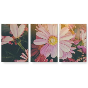 A[gpl 3A 3Zbg G G  igsticker 594mmx420mm A2 tHg Ǌ| ؘg CeA  023337 ԁ@t[@ʐ^