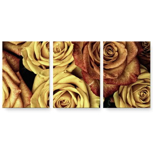 A[gpl 3A 3Zbg G G  igsticker 594mmx420mm A2 tHg Ǌ| ؘg CeA  023338 ԁ@t[@KN@ʐ^