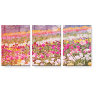 A[gpl G G  IׂTCY 594×841mm A1 3Zbg Zbg _  ʐ^ tHg CeA  023364 ԁ@t[@iF@ʐ^