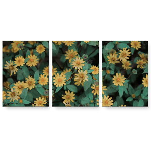 A[gpl 3A 3Zbg G G  igsticker 594mmx420mm A2 tHg Ǌ| ؘg CeA  023366 ԁ@t[@iF@ʐ^