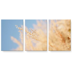 アートパネル 3連 3枚セット 絵 絵画 飾り igsticker 594mmx420mm A2 フォト 壁掛け 木枠 インテリア おしゃれ 023405 写真 景色 パンパスグラス