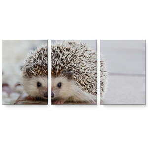 A[gpl G G  IׂTCY 594×841mm A1 3Zbg Zbg _  ʐ^ tHg CeA  023434 nlY~@@ʐ^