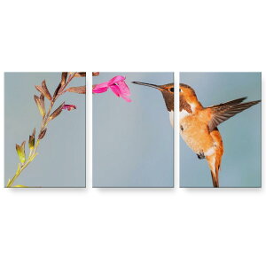 A[gpl G G  IׂTCY 594×841mm A1 3Zbg Zbg _  ʐ^ tHg CeA  023447 @ԁ@ʐ^