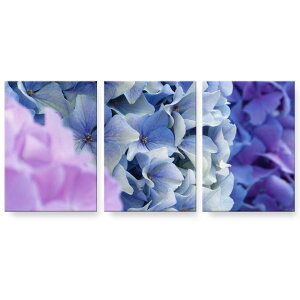 A[gpl G G  IׂTCY 594×841mm A1 3Zbg Zbg _  ʐ^ tHg CeA  023452 ԁ@t[@zԁ@@ʐ^