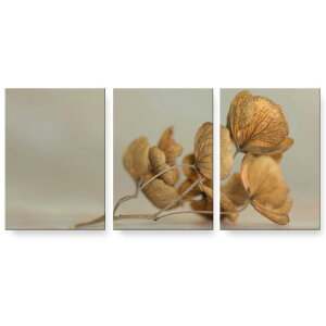 A[gpl 3A 3Zbg G G  igsticker 594mmx420mm A2 tHg Ǌ| ؘg CeA  023453 ԁ@t[