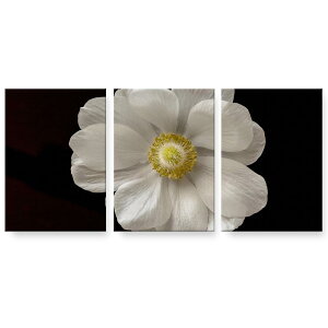 A[gpl 3A 3Zbg G G  igsticker 594mmx420mm A2 tHg Ǌ| ؘg CeA  023470 ԁ@t[