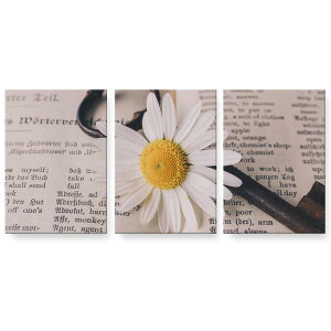 A[gpl G G  IׂTCY 594×841mm A1 3Zbg Zbg _  ʐ^ tHg CeA  023479 ԁ@t[