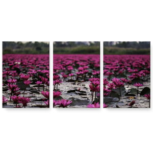 A[gpl G G  IׂTCY 594×841mm A1 3Zbg Zbg _  ʐ^ tHg CeA  023484 ԁ@t[@ʐ^