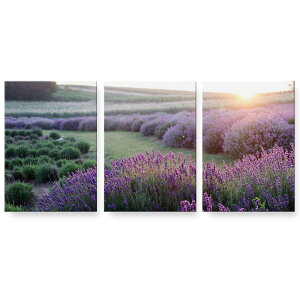 A[gpl 3A 3Zbg G G  igsticker 594mmx420mm A2 tHg Ǌ| ؘg CeA  023499 ԁ@t[@iF@ʐ^