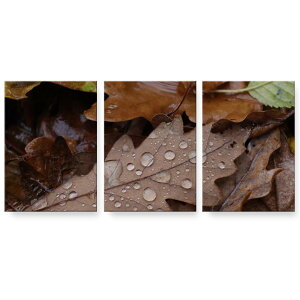 A[gpl G G  IׂTCY 594×841mm A1 3Zbg Zbg _  ʐ^ tHg CeA  023509 tρ@A@H