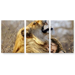 A[gpl G G  IׂTCY 594×841mm A1 3Zbg Zbg _  ʐ^ tHg CeA  023527 CI@l@