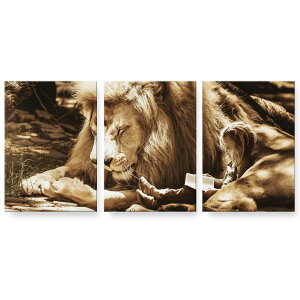 A[gpl 3A 3Zbg G G  igsticker 594mmx420mm A2 tHg Ǌ| ؘg CeA  023540 CI@l@