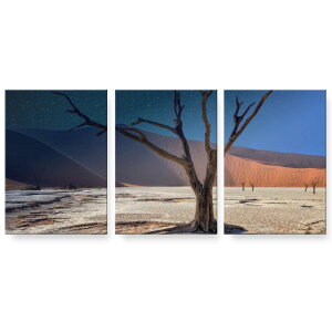 A[gpl 3A 3Zbg G G  igsticker 594mmx420mm A2 tHg Ǌ| ؘg CeA  023599 iF@R@