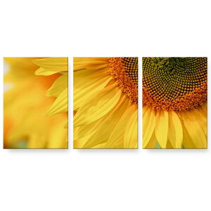 A[gpl G G  IׂTCY 594×841mm A1 3Zbg Zbg _  ʐ^ tHg CeA  023602 ԁ@t[@Ђ܂