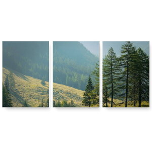 A[gpl G G  IׂTCY 594×841mm A1 3Zbg Zbg _  ʐ^ tHg CeA  023604 iF@R@