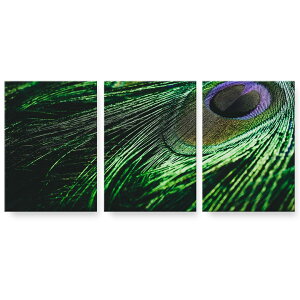 アートパネル 絵 絵画 飾り 選べるサイズ 594×841mm A1 3枚セット セット物 モダン 玄関 写真 フォト インテリア おしゃれ 023657 くじゃく 羽根