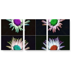 アートパネル 3連 3枚セット 絵 絵画 飾り igsticker 594mmx420mm A2 フォト 壁掛け 木枠 インテリア おしゃれ 023690 花 フラワー