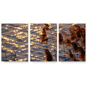 A[gpl 3A 3Zbg G G  igsticker 594mmx420mm A2 tHg Ǌ| ؘg CeA  023719 ppXOX@A@