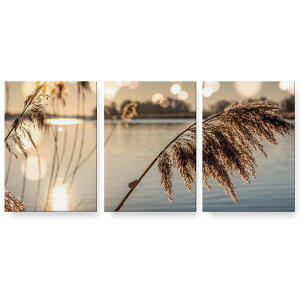 A[gpl 3A 3Zbg G G  igsticker 594mmx420mm A2 tHg Ǌ| ؘg CeA  023723 ppXOX@A@