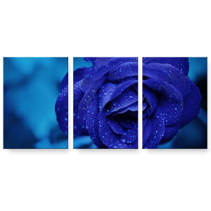 アートパネル 3連 3枚セット 絵 絵画 飾り igsticker 594mmx420mm A2 フォト 壁掛け 木枠 インテリア おしゃれ 023736 花 フラワー バラ