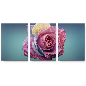 �A�[�g�p�l�� 3�A 3���Z�b�g �G �G�� ���� igsticker 594mmx420mm A2 �t�H�g �Ǌ|�� �ؘg �C���e���A ������� 023737 �ԁ@�t�����[�@�o��