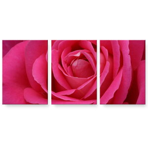 �A�[�g�p�l�� 3�A 3���Z�b�g �G �G�� ���� igsticker 594mmx420mm A2 �t�H�g �Ǌ|�� �ؘg �C���e���A ������� 023738 �ԁ@�t�����[�@�o��