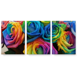 A[gpl 3A 3Zbg G G  igsticker 594mmx420mm A2 tHg Ǌ| ؘg CeA  023739 ԁ@t[@o