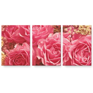 A[gpl G G  IׂTCY 594×841mm A1 3Zbg Zbg _  ʐ^ tHg CeA  023750 ԁ@t[