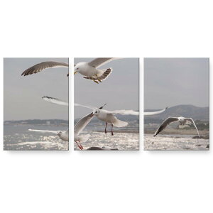 A[gpl G G  IׂTCY 594×841mm A1 3Zbg Zbg _  ʐ^ tHg CeA  023776 J@@