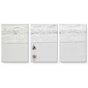 アートパネル 絵 絵画 飾り 選べるサイズ 594×841mm A1 3枚セット セット物 モダン 玄関 写真 フォト インテリア おしゃれ 023779 鳥 動物 海