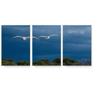 A[gpl 3A 3Zbg G G  igsticker 594mmx420mm A2 tHg Ǌ| ؘg CeA  023780 J@@