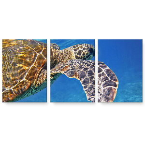 A[gpl 3A 3Zbg G G  igsticker 594mmx420mm A2 tHg Ǌ| ؘg CeA  023782 J@C@ʐ^