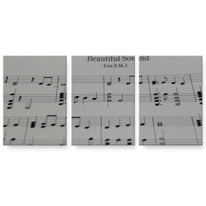 A[gpl G G  IׂTCY 594×841mm A1 3Zbg Zbg _  ʐ^ tHg CeA  023789 @y@y