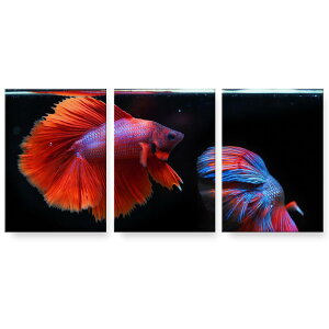 A[gpl G G  IׂTCY 594×841mm A1 3Zbg Zbg _  ʐ^ tHg CeA  023793 @Jt@