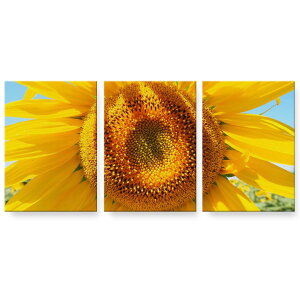 A[gpl 3A 3Zbg G G  igsticker 594mmx420mm A2 tHg Ǌ| ؘg CeA  023849 ԁ@t[@Ђ܂
