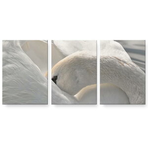 A[gpl G G  IׂTCY 594×841mm A1 3Zbg Zbg _  ʐ^ tHg CeA  023866 @