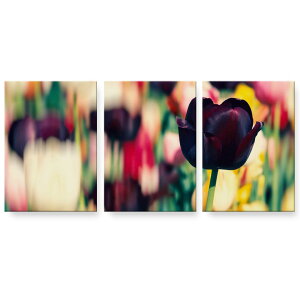 A[gpl 3A 3Zbg G G  igsticker 594mmx420mm A2 tHg Ǌ| ؘg CeA  023913 ԁ@t[@`[bv