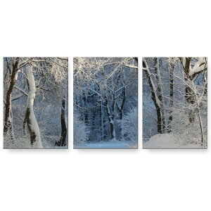 A[gpl 3A 3Zbg G G  igsticker 594mmx420mm A2 tHg Ǌ| ؘg CeA  023977 @~@iF