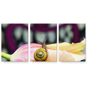 A[gpl 3A 3Zbg G G  igsticker 594mmx420mm A2 tHg Ǌ| ؘg CeA  023988 ނ@ԁ@t[