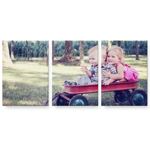 アートパネル 3連 3枚セット 絵 絵画 飾り igsticker 594mmx420mm A2 フォト 壁掛け 木枠 インテリア おしゃれ 023994 こども 写真