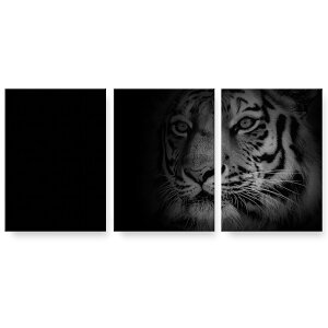 A[gpl 3A 3Zbg G G  igsticker 594mmx420mm A2 tHg Ǌ| ؘg CeA  024008