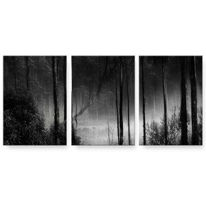 アートパネル 絵 絵画 飾り 選べるサイズ 594×841mm A1 3枚セット セット物 モダン 玄関 写真 フォト インテリア おしゃれ 025587 森林 モノクロ 霧
