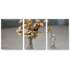 A[gpl G G  IׂTCY 594×841mm A1 3Zbg Zbg _  ʐ^ tHg CeA  025611 ԕr@hCt[@ʐ^