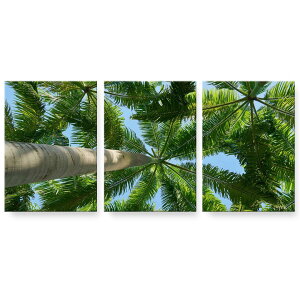 A[gpl G G  IׂTCY 594×841mm A1 3Zbg Zbg _  ʐ^ tHg CeA  025621 R@tρ@؁@