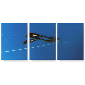 A[gpl G G  IׂTCY 594×841mm A1 3Zbg Zbg _  ʐ^ tHg CeA  025637 _CrO@C@@_Co[
