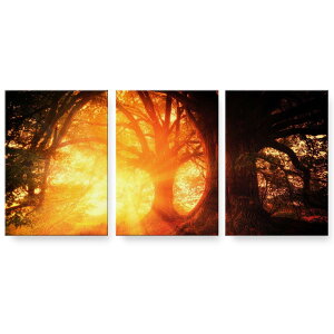 A[gpl 3A 3Zbg G G  igsticker 594mmx420mm A2 tHg Ǌ| ؘg CeA  025677 R@X@[@