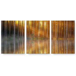 A[gpl G G  IׂTCY 594×841mm A1 3Zbg Zbg _  ʐ^ tHg CeA  025679 Xс@R@