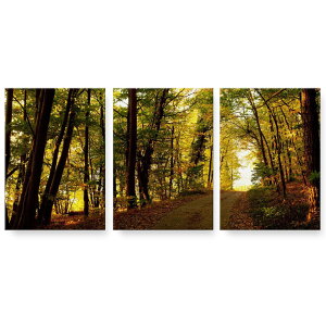 A[gpl 3A 3Zbg G G  igsticker 594mmx420mm A2 tHg Ǌ| ؘg CeA  025682 R@X@[@