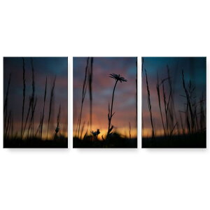 A[gpl G G  IׂTCY 594×841mm A1 3Zbg Zbg _  ʐ^ tHg CeA  025684 i@R@