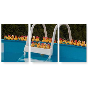 A[gpl G G  IׂTCY 594×841mm A1 3Zbg Zbg _  ʐ^ tHg CeA  025719 v[@Ђ@